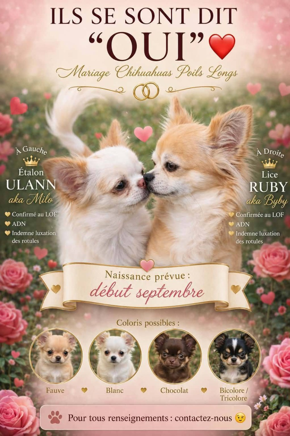 Gestation confirmée pour Ruby
