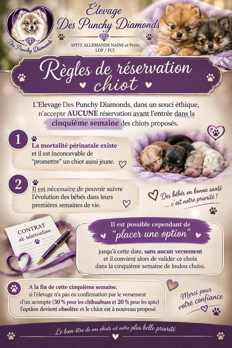 La réservation d'un chiot