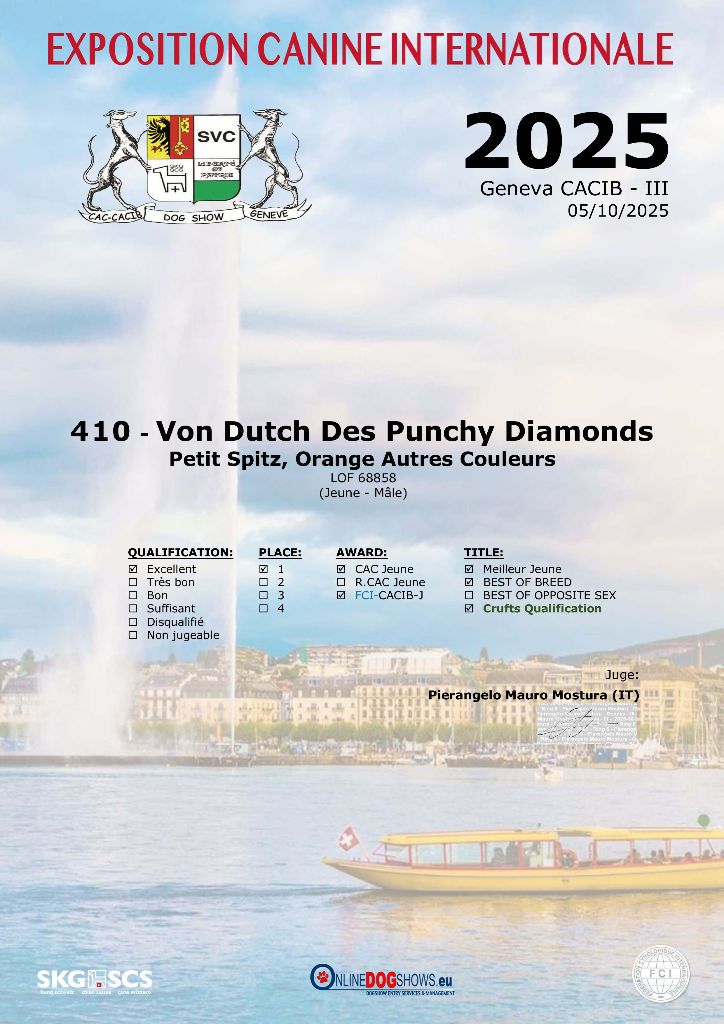 Qualification CRUFT 2026